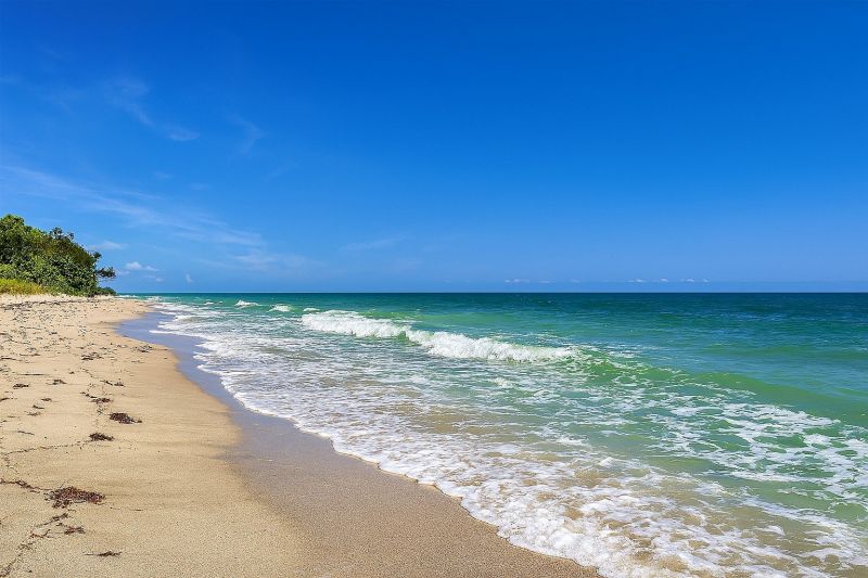 Dunedin, FL
